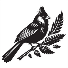 silhouette of a cardinal on white, Sketch of northern cardinal or redbird vector icon, Set of Cardinal Birds Silhouette, Northern cardinal
