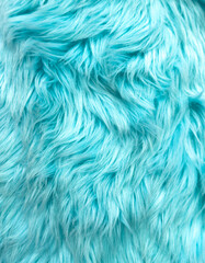 Fototapeta premium A blue fur texture with a light blue color