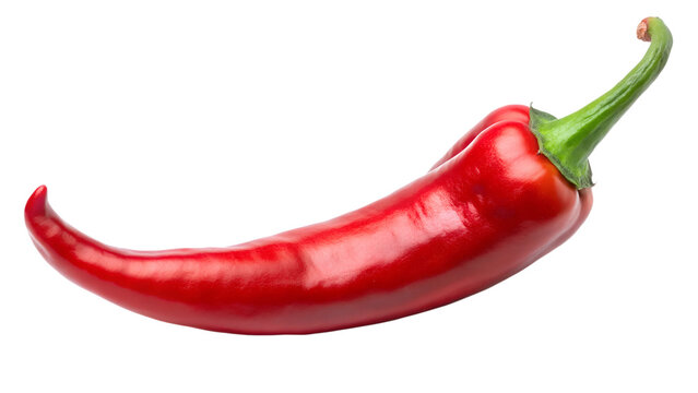 red hot chili pepper  isolated on transparent background