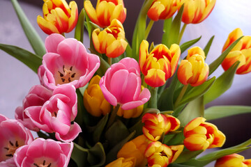 Fototapeta premium bouquet of flowers with yellow and pink tulips