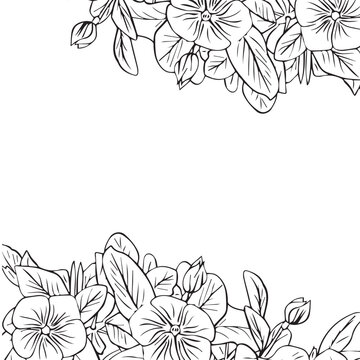 Frame of catharanthus flowers, floral arrangement with leaves as border for design. Periwinkle flower. Vector illustration.