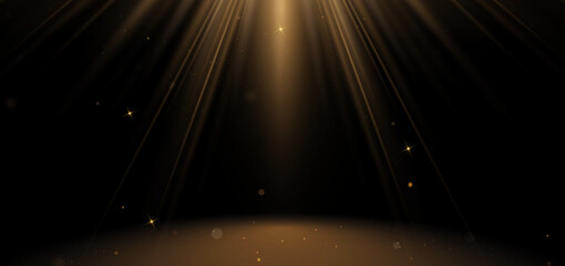 Abstract elegant gold glowing line with lighting effect sparkle on black background.