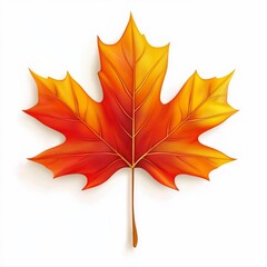 Obraz premium Autumn maple leaf glows on white backdrop.