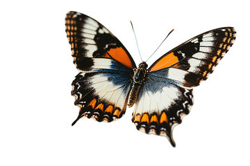 Fototapeta premium A butterfly with orange and black wings is flying in the air. on transparent background.