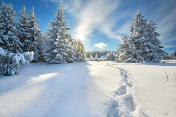 Footprints from snow boots leave a trail on a fresh snowy ground, marking a journey through the winter wonderland