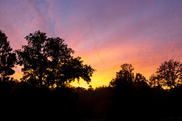 leuchtender Sonnenaufgang im Wald. Kurpark von Bad Bentheim