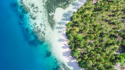 Top down view of a tropical shoreline featuring dense palm trees, white sandy beach, and turquoise blue ocean.