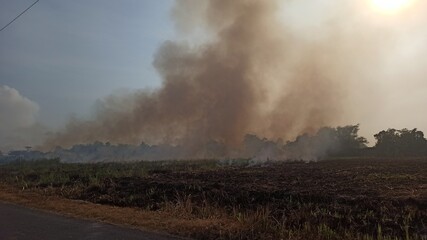 indiscriminate land burning