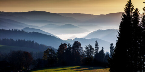 Nebel im Tal