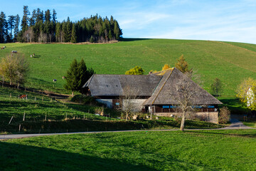 traditional farm in Breitnau in the Black Forest