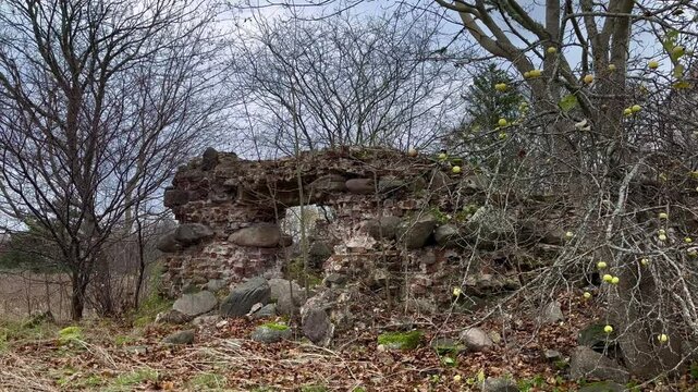 Remains of Piltene Castle Wall on a Cloudy Autumn Day, Ancient Brick and Stone Ruins with Moss and Leaf Litter in a Historical Courland Landscape, Latvia - Static Video