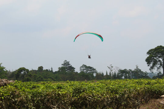 One parachute of paragliding on cloudy sky background and green trees