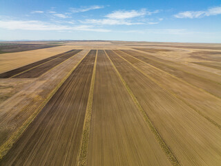 Aerial view of a massive row crop field.