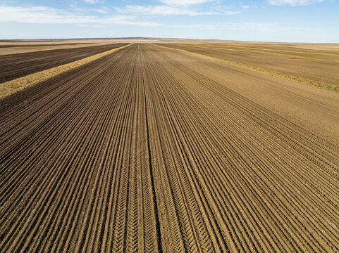 Aerial view of a massive row crop field.