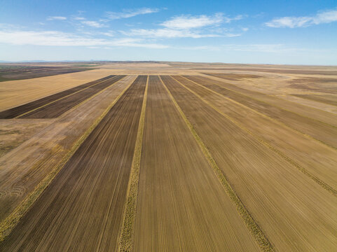 Aerial view of a massive row crop field.
