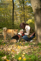 Fototapeta premium Woman portrait stroking the dog pet in the forest on an autumn day