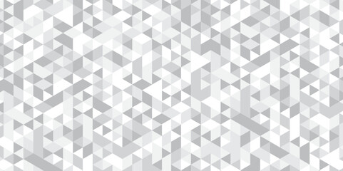 Geometric Abstract white or gray digital stripe creativity background. seamless triangular origami grayscale mosaic and low polygon triangle texture banner wallpaper.	
