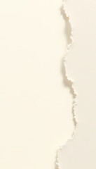 Torn textured paper edge in beige with ethereal shadow with copy space