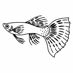 Line Art Vector Illustration of a Guppy