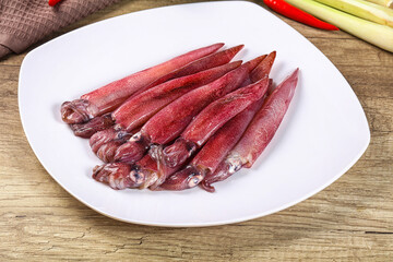 Raw fresh squids for cooking