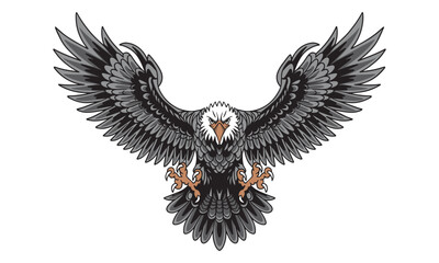 Fototapeta premium Eagle spreading its wings.vector illustration