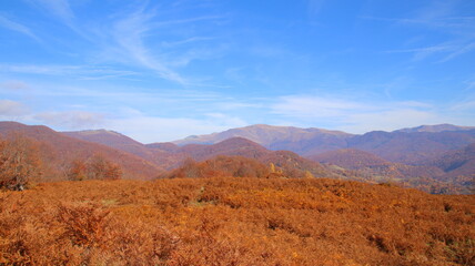 autumn in the mountains