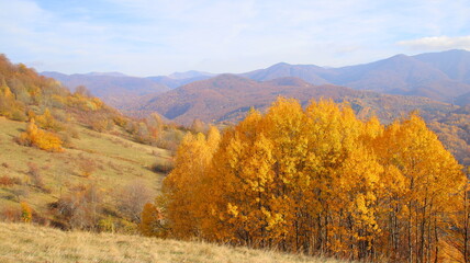 Fototapeta premium autumn landscape in mountains