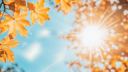 Fototapeta premium Autumn background with maple leaves and bokeh,Fall blurred background, Yellow and red maple leaves are flying and falling down. Autumnal landscape.water drop on leaf,space for text.