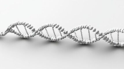 3D White DNA Double Helix Model on White Background