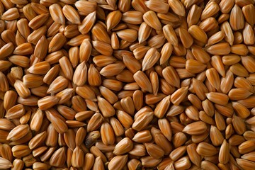 Fototapeta premium a realistic close-up of sunflower seeds, detailed texture, rich colors, photorealistic, isolated on white background