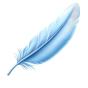 recommend clip art: a realistic bluebird feather, intricate barbs, soft blue hues, photorealistic, isolated on white background