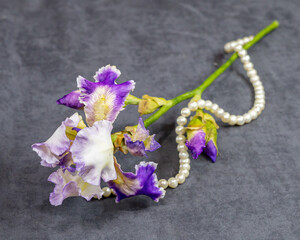 pearl necklace on purple iris flower