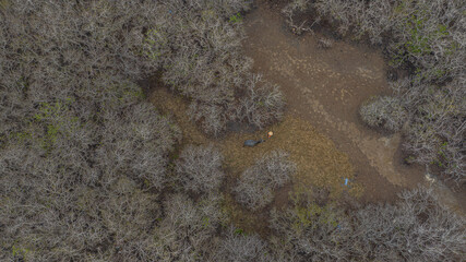 The flooded forest in the lagoon system in Hue is where many fishermen make a living, and is also the natural protection forest that protects people from storms. Photo taken in Hue on July 9, 2023.