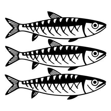 Sardine clip art preview