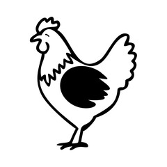  Leghorn chicken17.eps