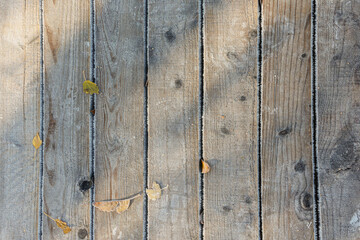 Boardwalk boards with frost, surrounded by colorful leaves in nature