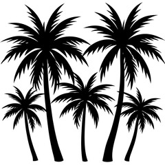 silhouette of palm tree, silhouette of palm trees, palm tree silhouette
