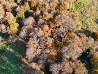 Aerial view of Mont Beuvray in the Morvan in Burgundy, France, with the forest in autumn colours and clouds in the valleys