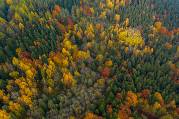 Dolina Popradu, Muszyna, Malnik