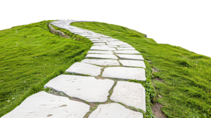 Curved stone pathway on green grass, white isolate background.