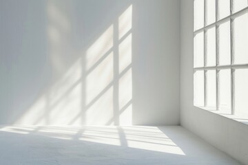Window backgrounds shadow light.