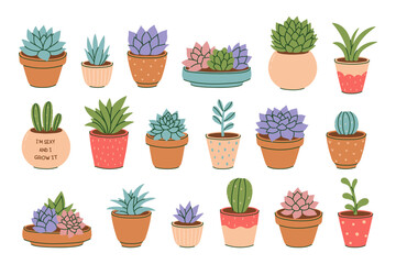 Set of simple style succulents in pots. Vector graphics