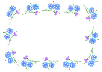 矢車菊の花のフレーム