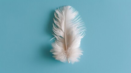 A delicate white feather rests gently on a tranquil blue background, symbolizing lightness, calm, and gentle elegance amidst simplicity.