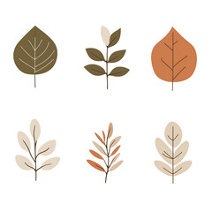 Minimalist style leaf vector without background