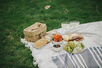 Cozy summer picnic on green meadow with fresh fruits, cheese and cold champagne.