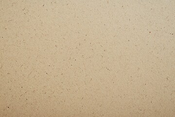 A close-up view of textured, light brown paper with a natural, organic appearance.