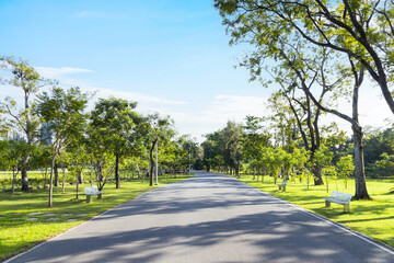 Pathway in the green park. Scenic view of the park with green grass field in city and a cloudy blue sky background