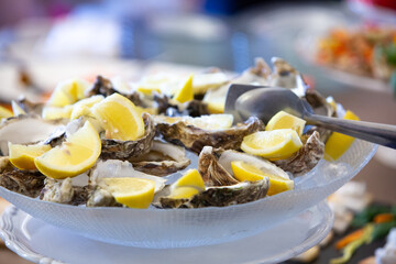 Fresh oysters with lemon wedges served on ice at buffet