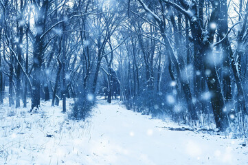 Ice land Summer Cold Winter Landscapes generated by AI